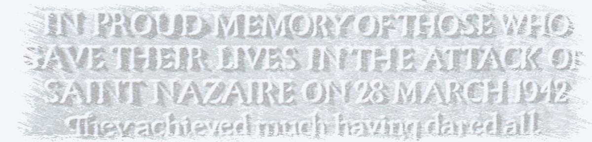 WebPlaquecopy1